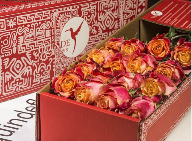 ALOHA ROSES Bicolor Orange/Yellow Roses