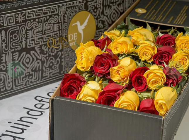 AUTUMN ROSES Yellow/Red Roses