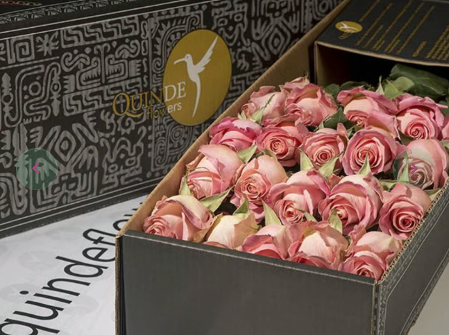 MOTHER’S DAY ROSES Light Pink Roses