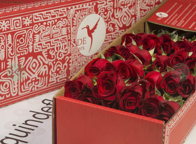 LOVING ROSES Red Roses