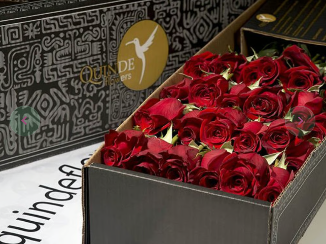 LOVING ROSES Red Roses