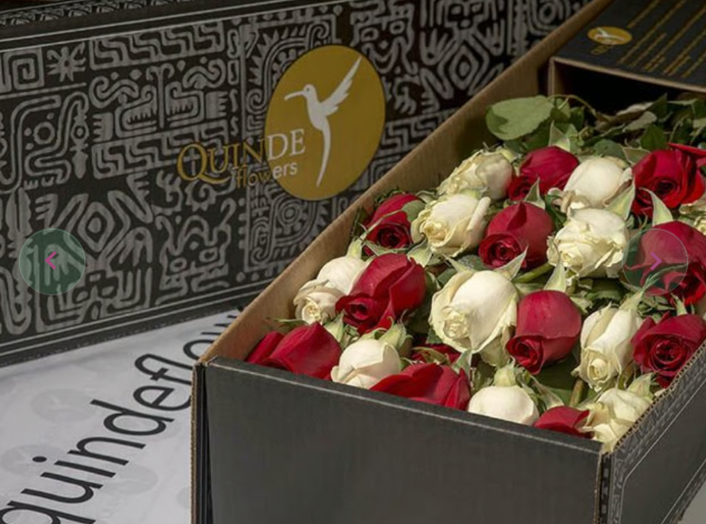Premium Red and White Roses Box