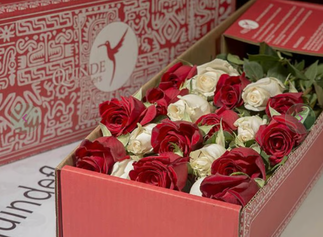 Premium Red and White Roses Box