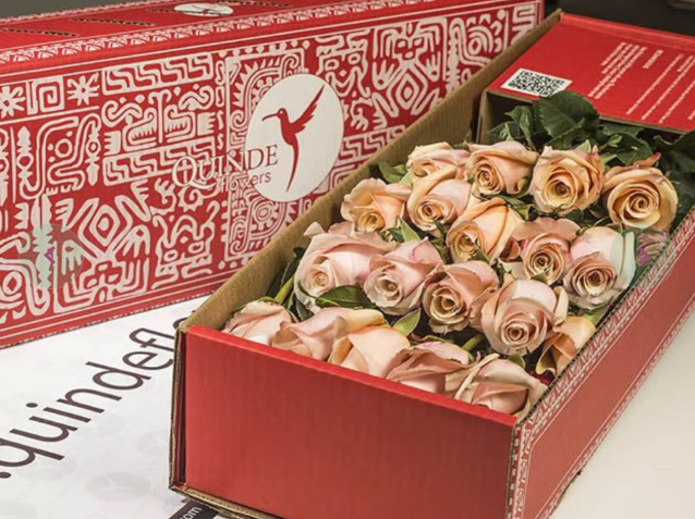 SANTORINI ROSES Peach Roses