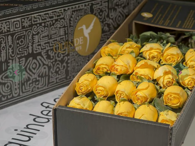 SUNSHINE ROSES Yellow Roses