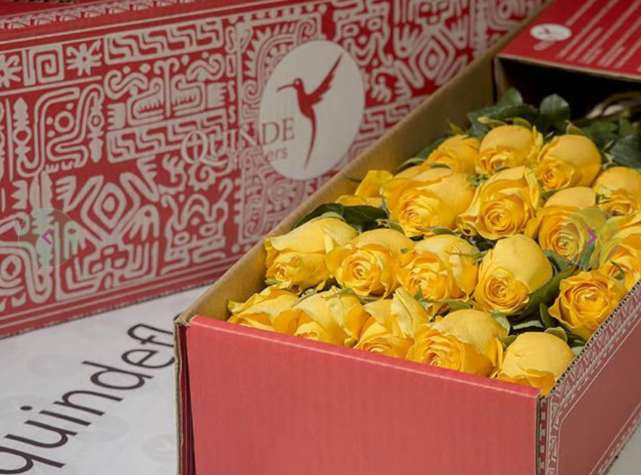 SUNSHINE ROSES Yellow Roses