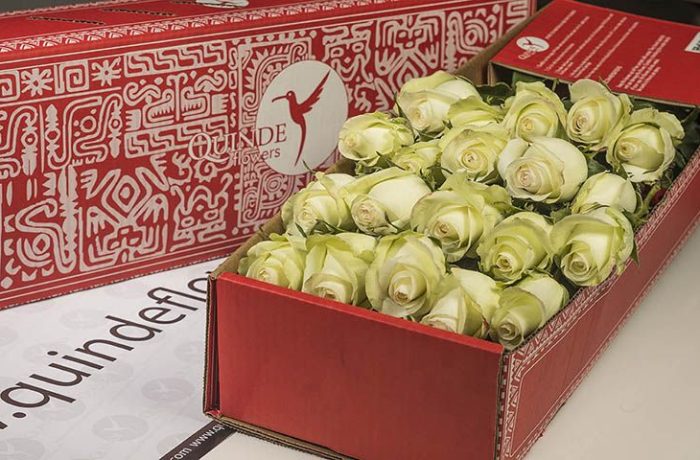 luxury roses box pack