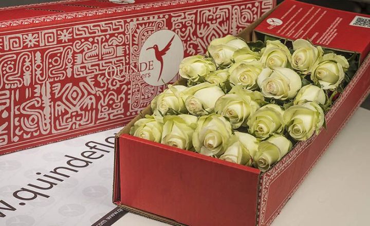 luxury roses box pack