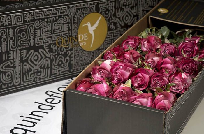 luxury roses box pack