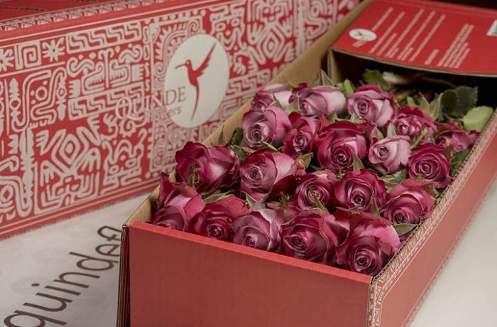 luxury roses box pack