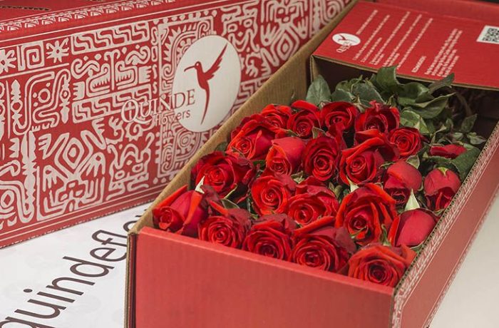 luxury red roses box pack