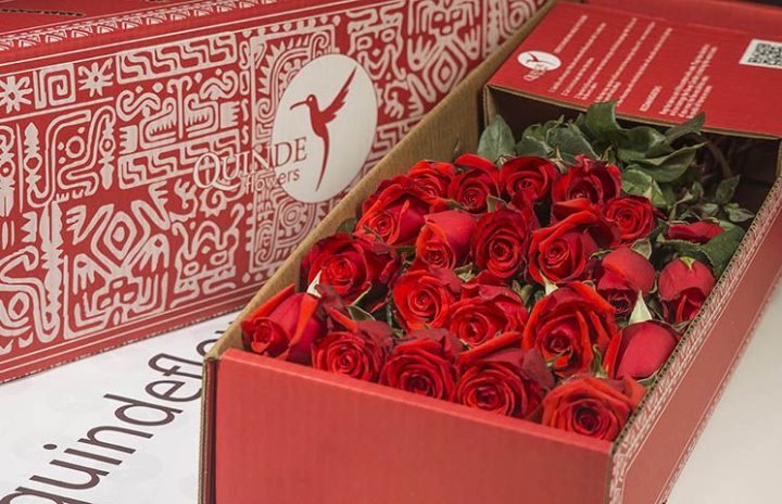 luxury red roses box pack