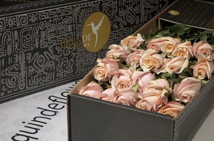 luxury roses box pack