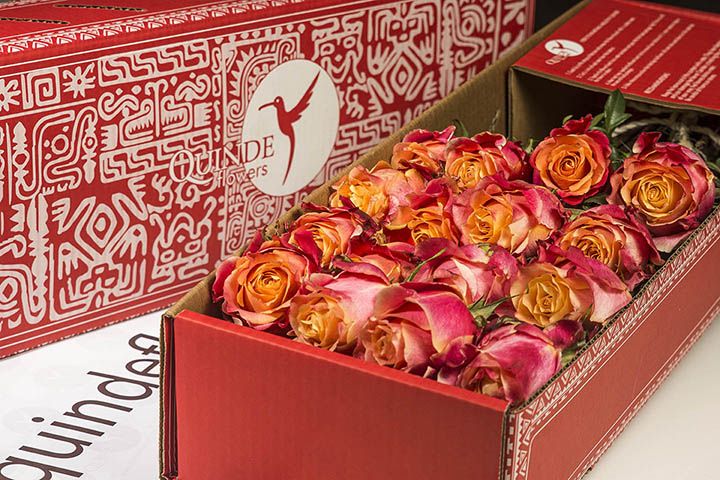 ALOHA ROSES