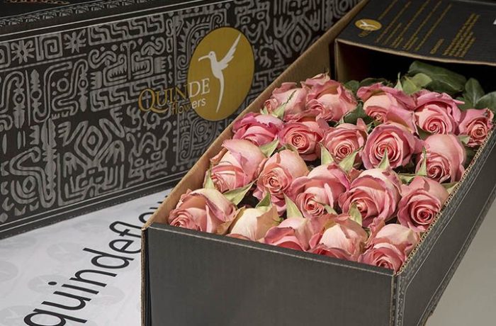 luxury pink roses box pack