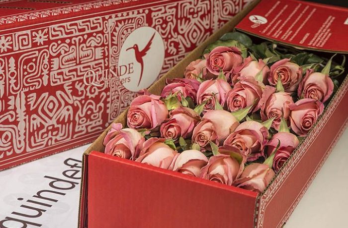 luxury pink roses box pack