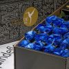 luxury galapagos roses box pack blue