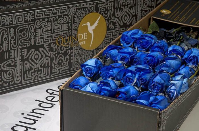 luxury galapagos roses box pack blue