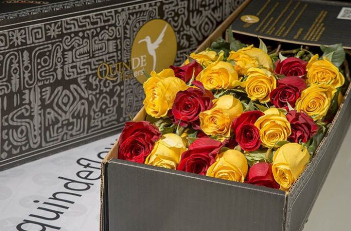 luxury autumn roses box pack red yellow