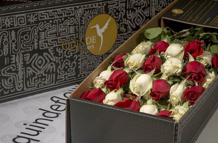 luxury xmas roses box pack christmas