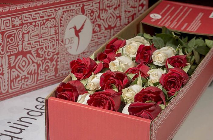 luxury xmas roses box pack christmas
