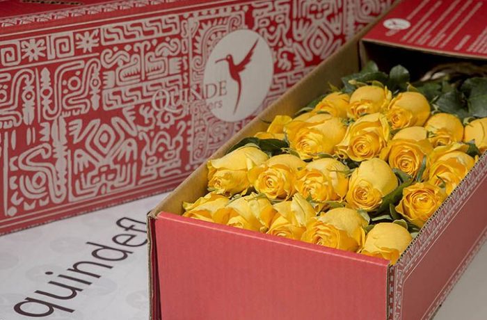 luxury yellow roses box pack