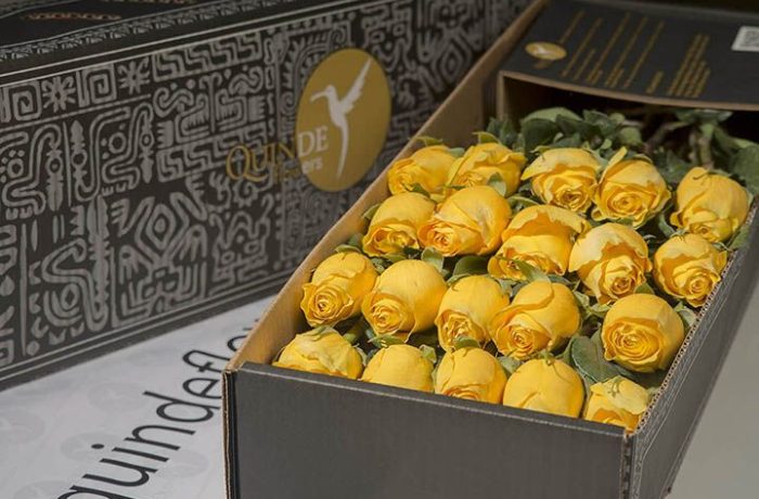 luxury yellow roses box pack