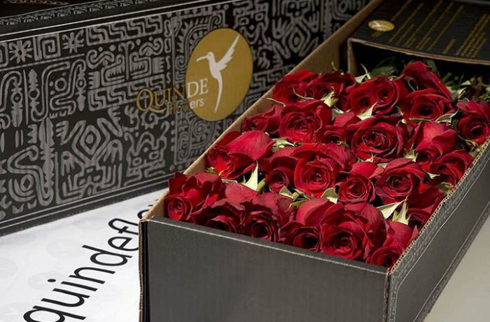 luxury red roses box pack