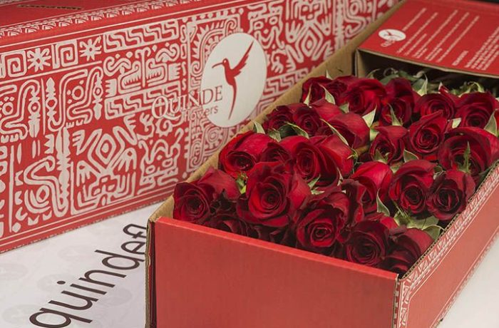 luxury red roses box pack