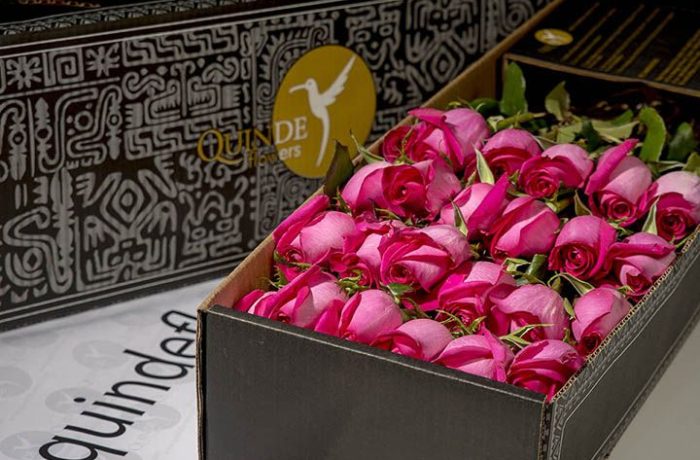 luxury pink roses box pack