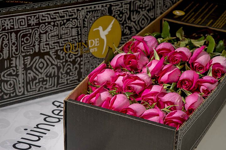 luxury pink roses box pack