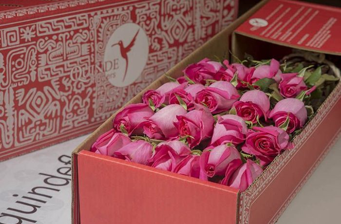 luxury pink roses box pack