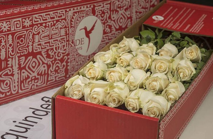 luxury white roses box pack