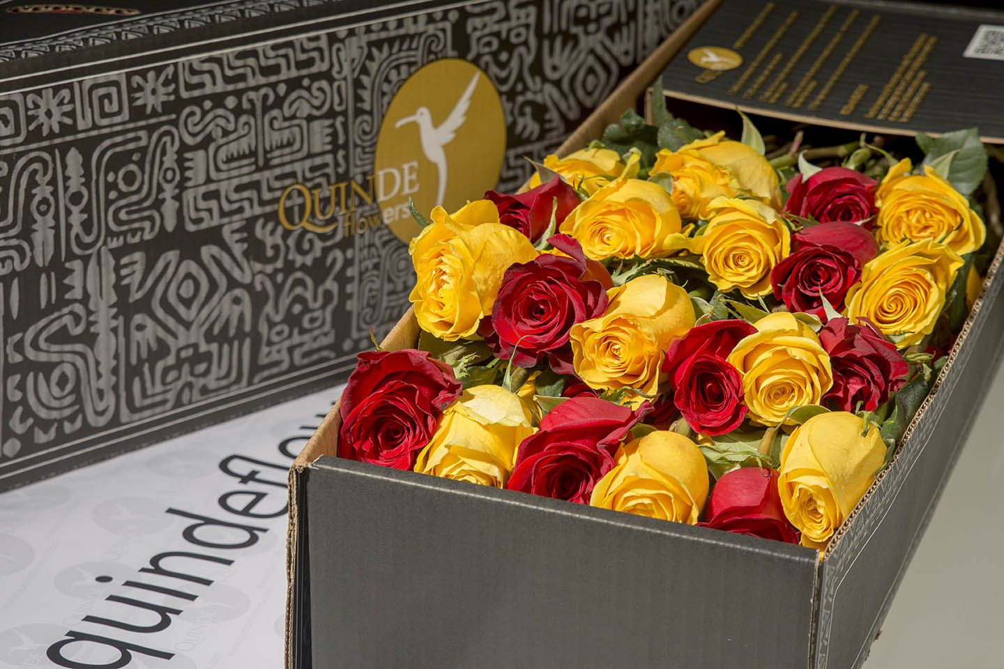 AUTUMN ROSES