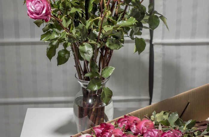 luxury roses box pack