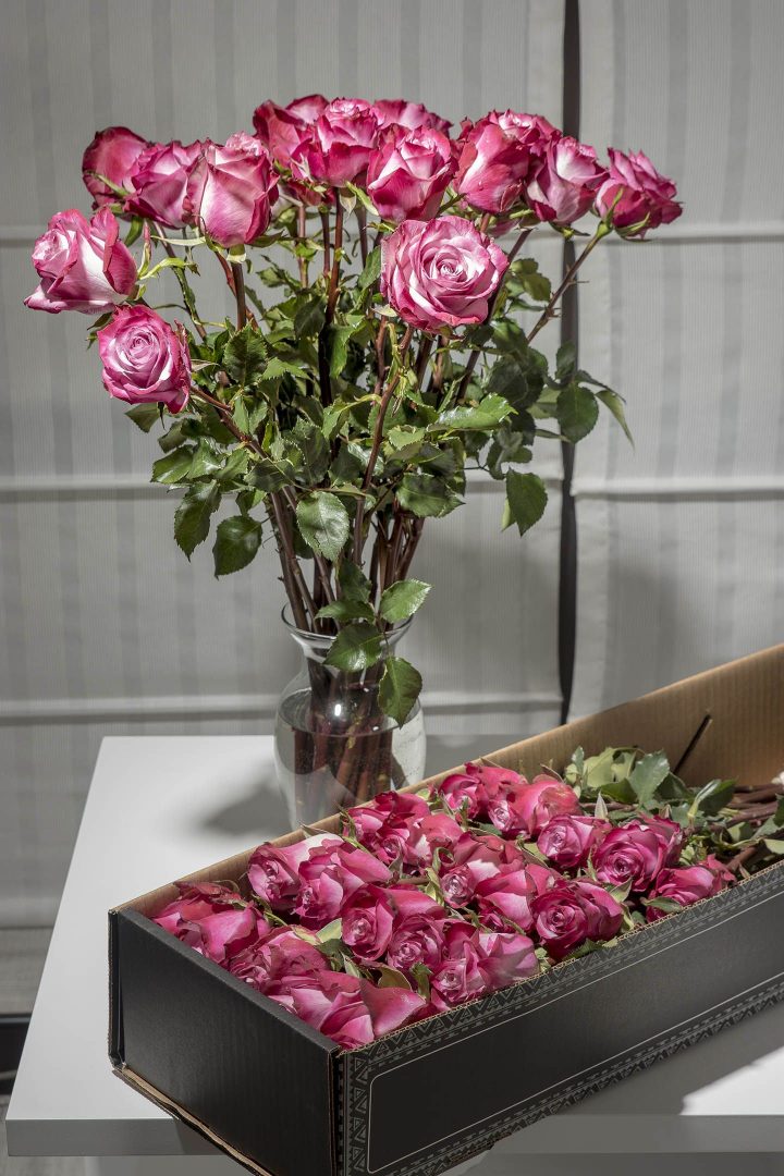 luxury roses box pack