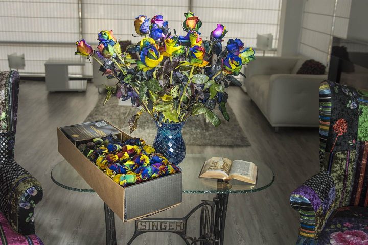 luxury rainbow roses box pack