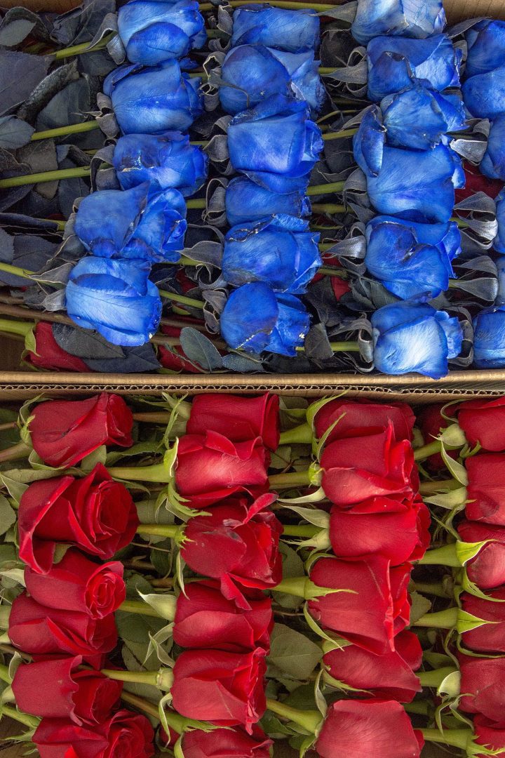 luxury roses box pack