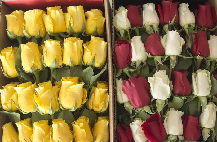 luxury roses box pack