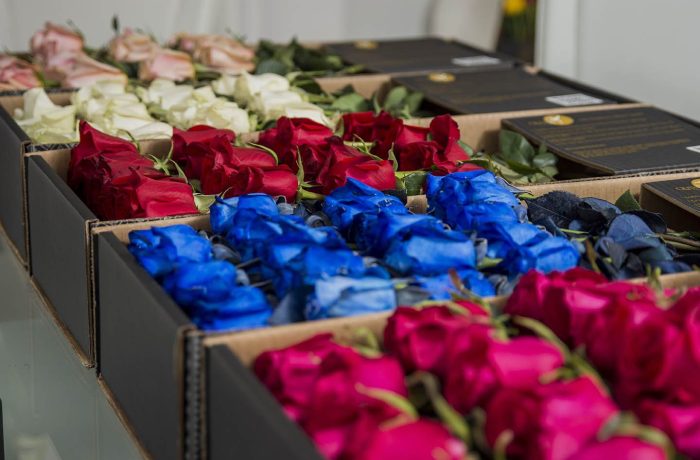 luxury roses box pack