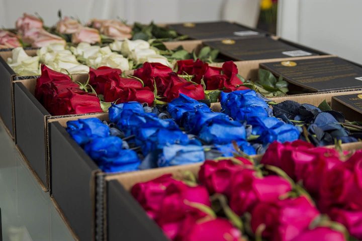 luxury roses box pack